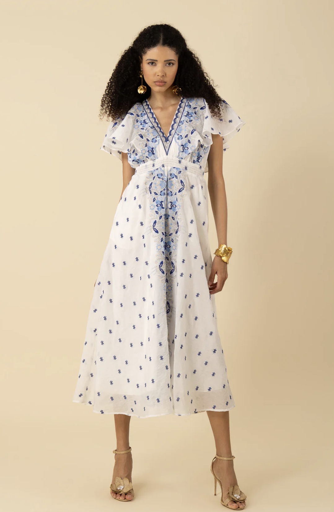 Elianna Embroidered Organza Maxi Dress