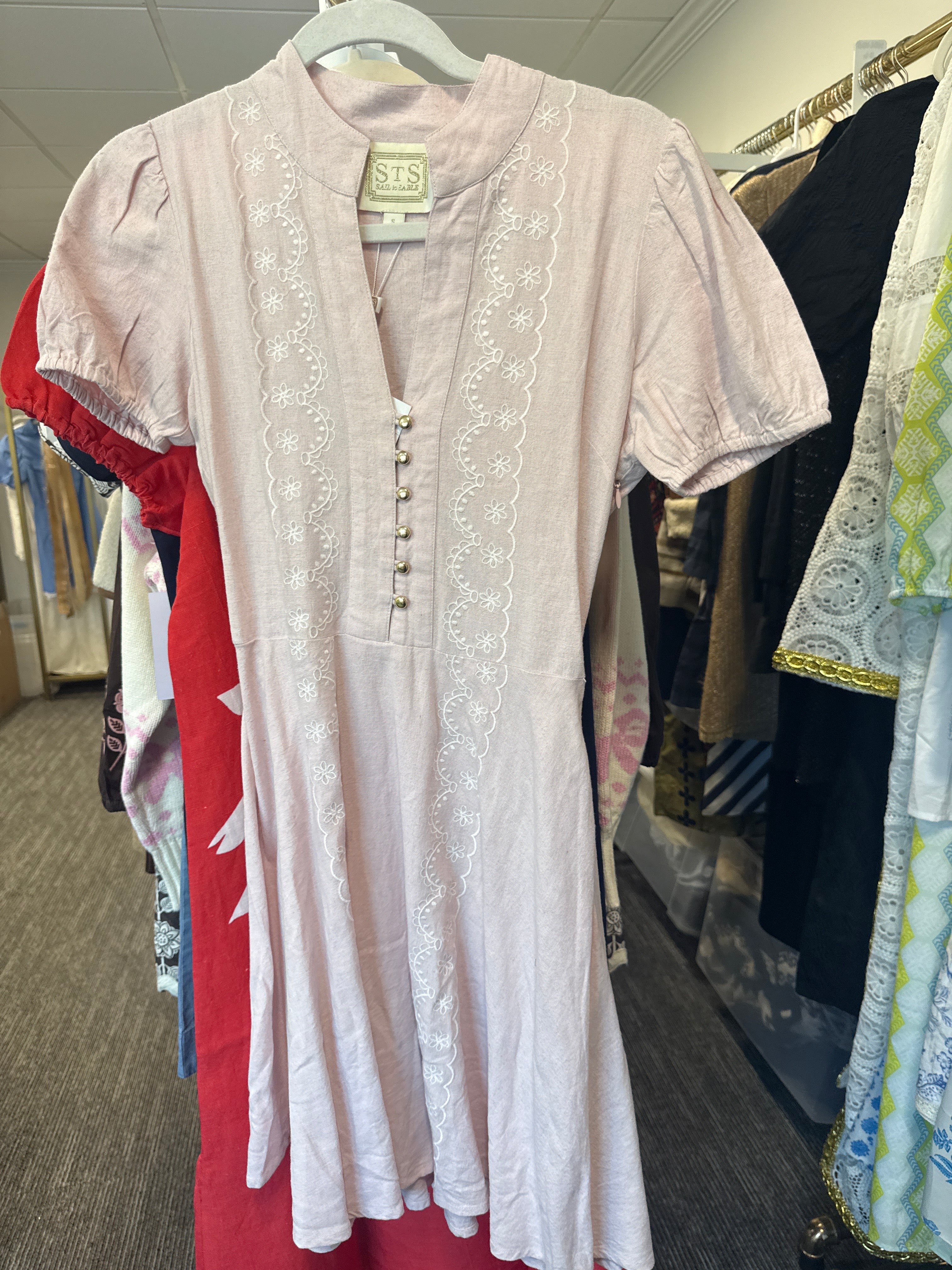 Sample Puff Slv Fit & Flate Dress - Blush