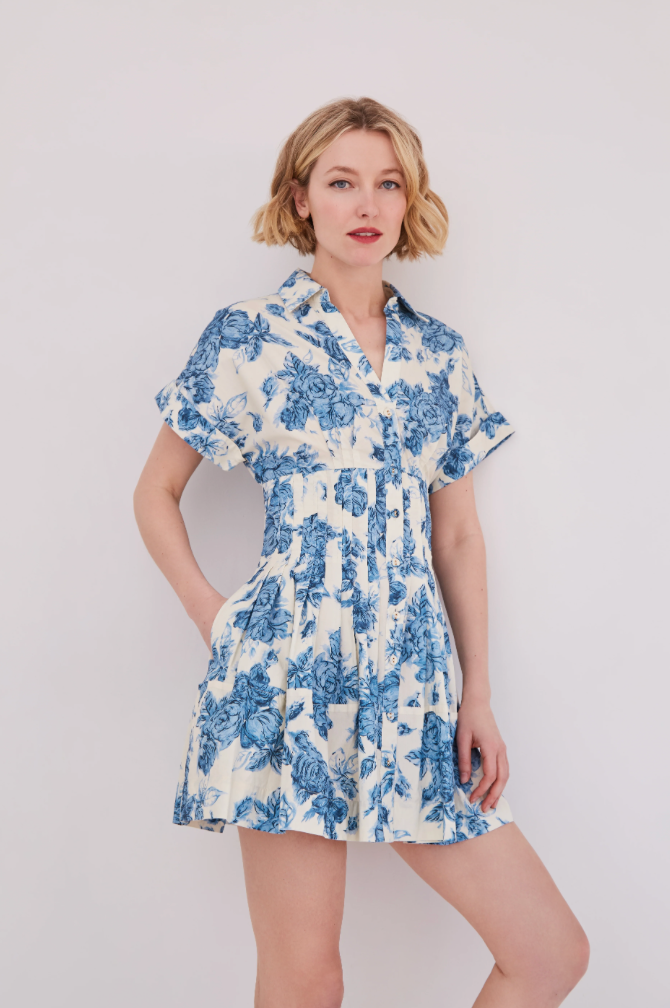 Nash Mini Dress | Tossed Floral Blue
