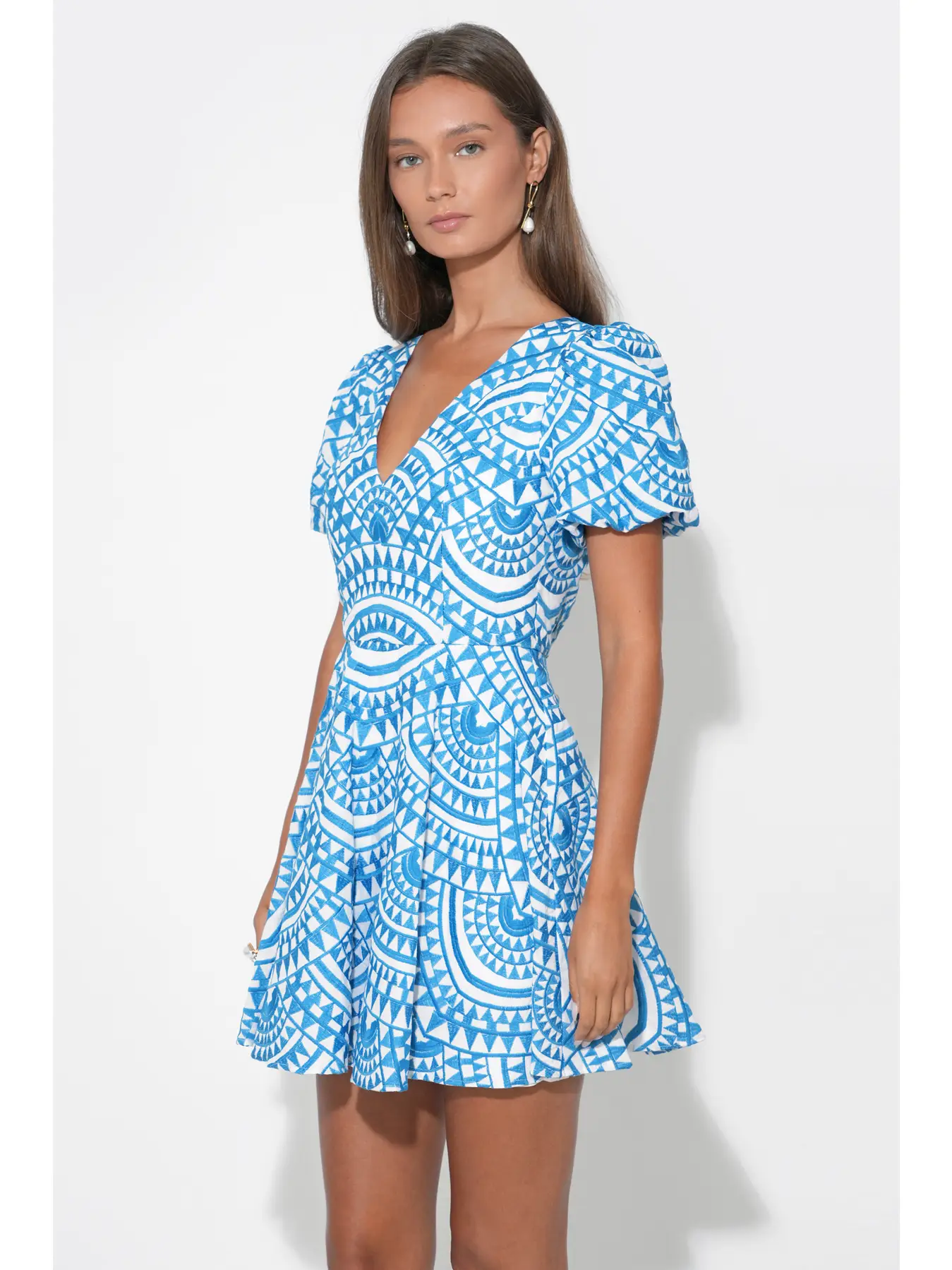 Genesis Fit & Flare Embroidery Mini Dress