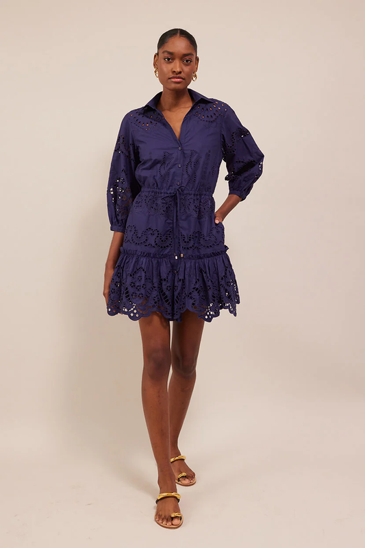 Robin Dress Navy Embroidered Eyelet
